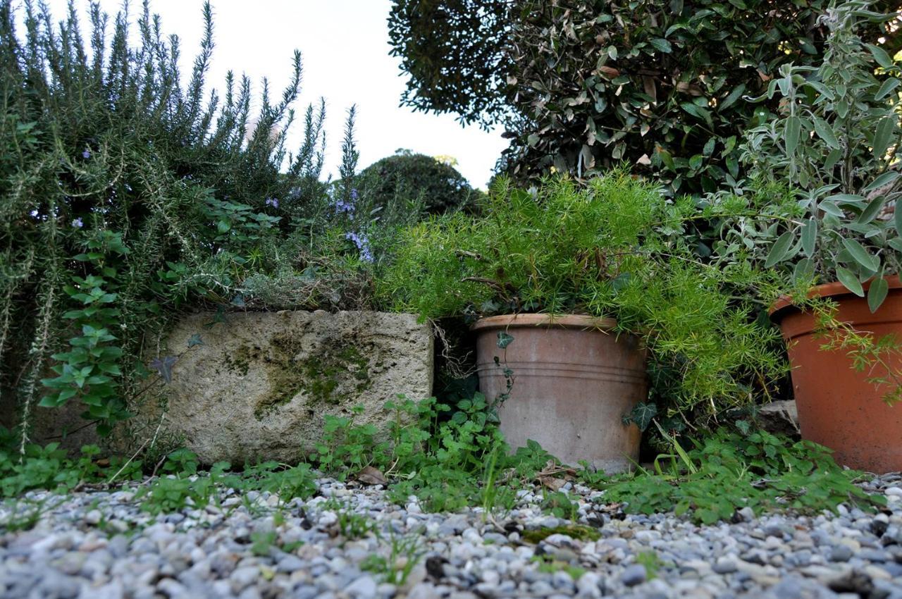 Villa Salvini Marina Di Pisa Exterior foto