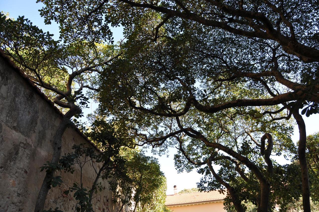 Villa Salvini Marina Di Pisa Exterior foto