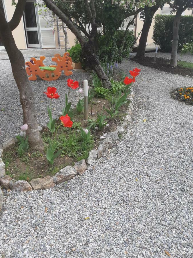 Villa Salvini Marina Di Pisa Exterior foto